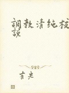 调教清纯校花小说封面