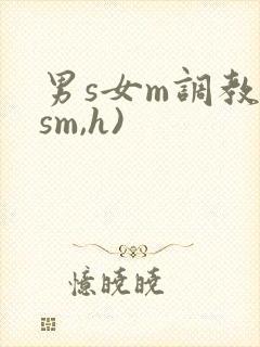 男s女m调教(sm,h)封面