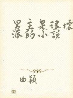 男主是很坏的反派的小说