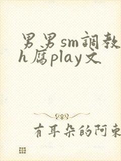 男男sm调教高h腐play文