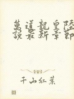 万道龙皇陆鸣小说最新章节封面