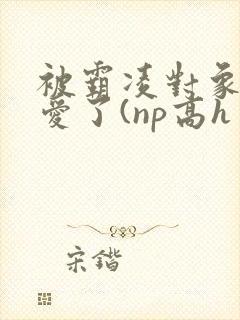 被霸凌对象强制爱了(np高h