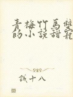 青梅竹马双学霸的小说甜宠文