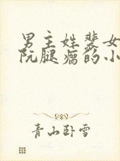 男主姓裴女主姓阮腿瘸的小说