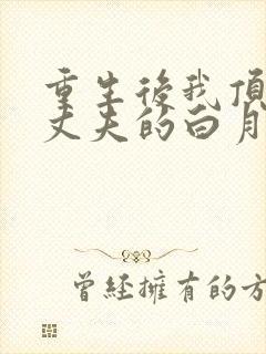 重生后我顶替了丈夫的白月光