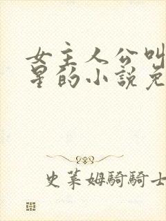 女主人公叫乔如星的小说免费阅读