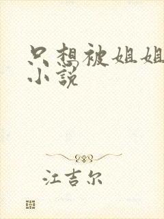 只想被姐姐欺负小说