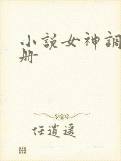 小说女神调教手册