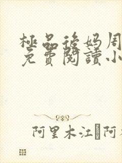 极品后妈周小芸免费阅读小说封面