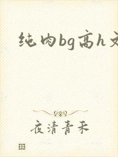 纯肉bg高h文