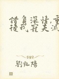 错负深情,重生后我宠夫灭渣小说免费阅读