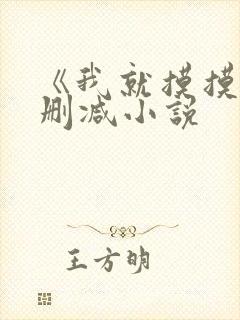 《我就摸摸》无删减小说封面