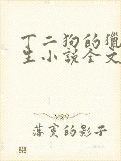 丁二狗的猎艳人生小说全文无删减