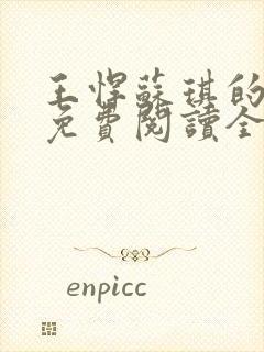 王悍苏琪的小说免费阅读全文封面