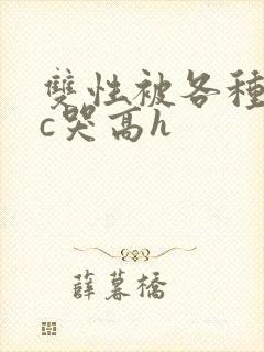 双性被各种姿势c哭高h封面