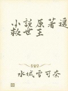 小说原著遥远的救世主封面