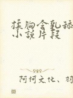 揉胸含乳舔下面小说片段