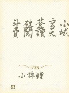 斗破苍穹小说免费阅读天域小说网