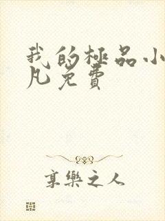 我的极品小姨叶凡免费封面