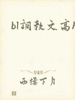 bl调教文高h