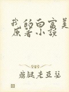 我的白富美老婆原著小说封面