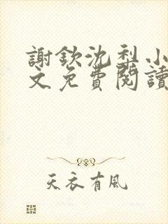 谢钦沈梨小说全文免费阅读封面