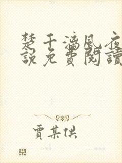 楚千漓风夜玄小说免费阅读封面