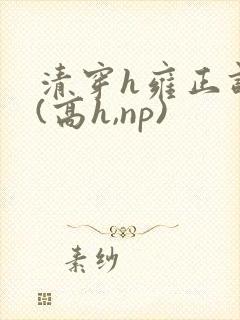 清穿h雍正调教(高h,np)封面