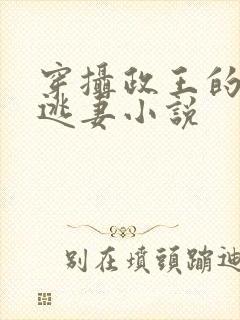 穿摄政王的侍爱逃妻小说