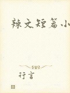 辣文短篇小说集封面