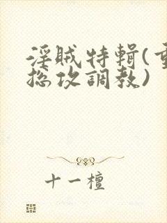 淫贼特辑(重口总攻调教)封面