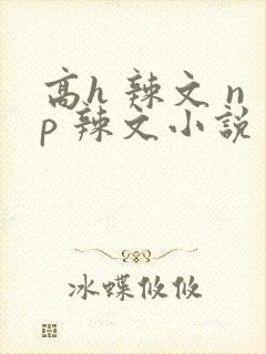 高h 辣文 np 辣文小说封面