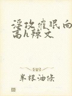 淫攻催眠向np高h辣文