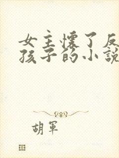 女主怀了反派的孩子的小说