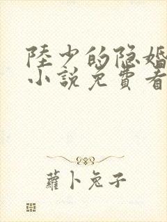 陆少的隐婚罪妻小说免费看