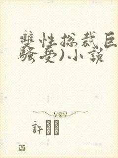 双性总裁巨乳(骚受)小说封面