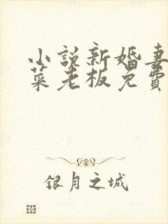 小说新婚妻子和菜老板免费阅读