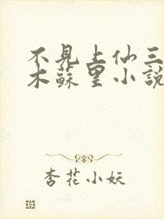 不见上仙三百年木苏里小说完整版