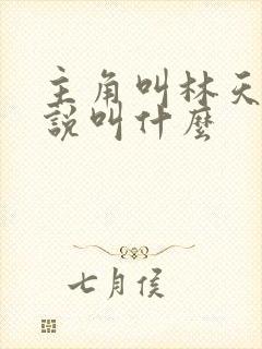 主角叫林天的小说叫什么