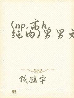 (np,高h,纯肉)男男文
