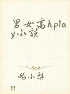 男女高hplay小说