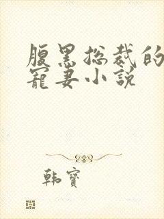 腹黑总裁的天后宠妻小说