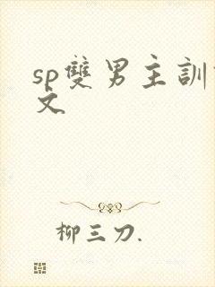 sp双男主训诫文