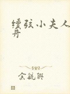 续弦小夫人江摇舟