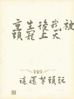 重生后我被死对头宠上天