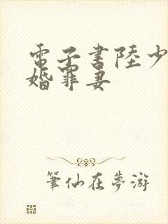 电子书陆少的隐婚罪妻封面