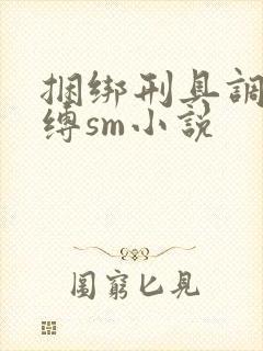 捆绑刑具调教束缚sm小说