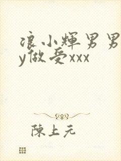 浪小辉男男gay做受xxx