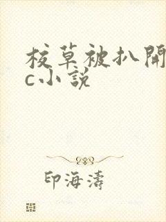 校草被扒开腿狂c小说