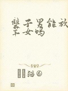 双子男能放下白羊女吗封面